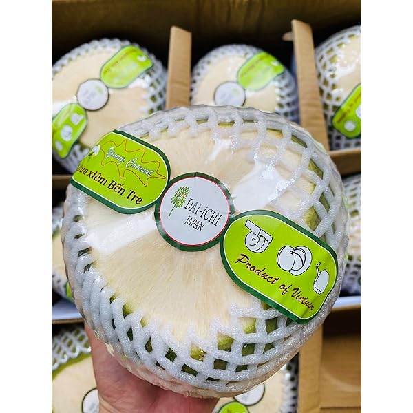 Amazon.co.jp: ヤシの実 やしの実 椰子の実 1玉 2.2kgUP : 食品・飲料